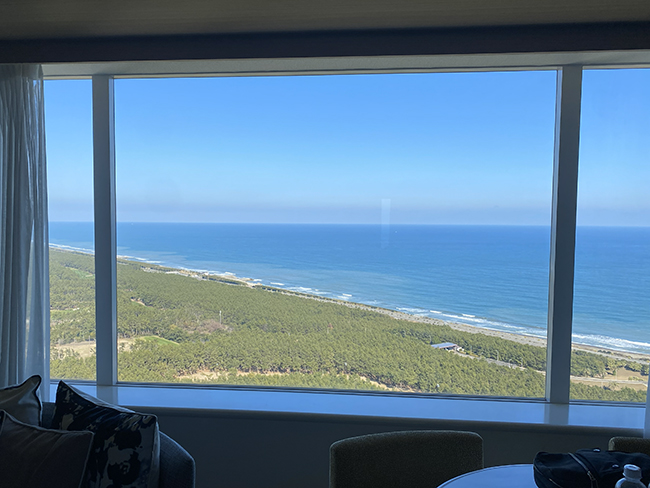 シーガイア窓からの景色