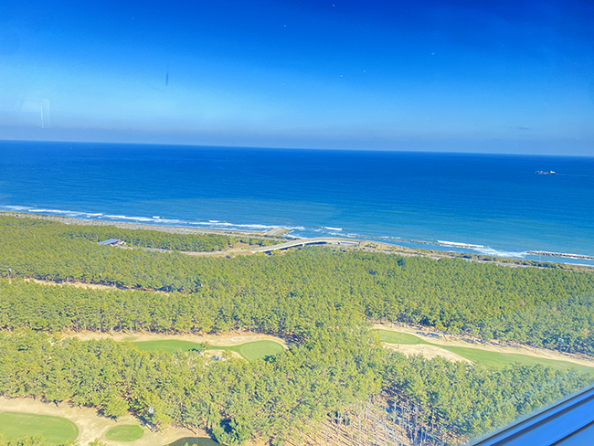 シーガイア景色